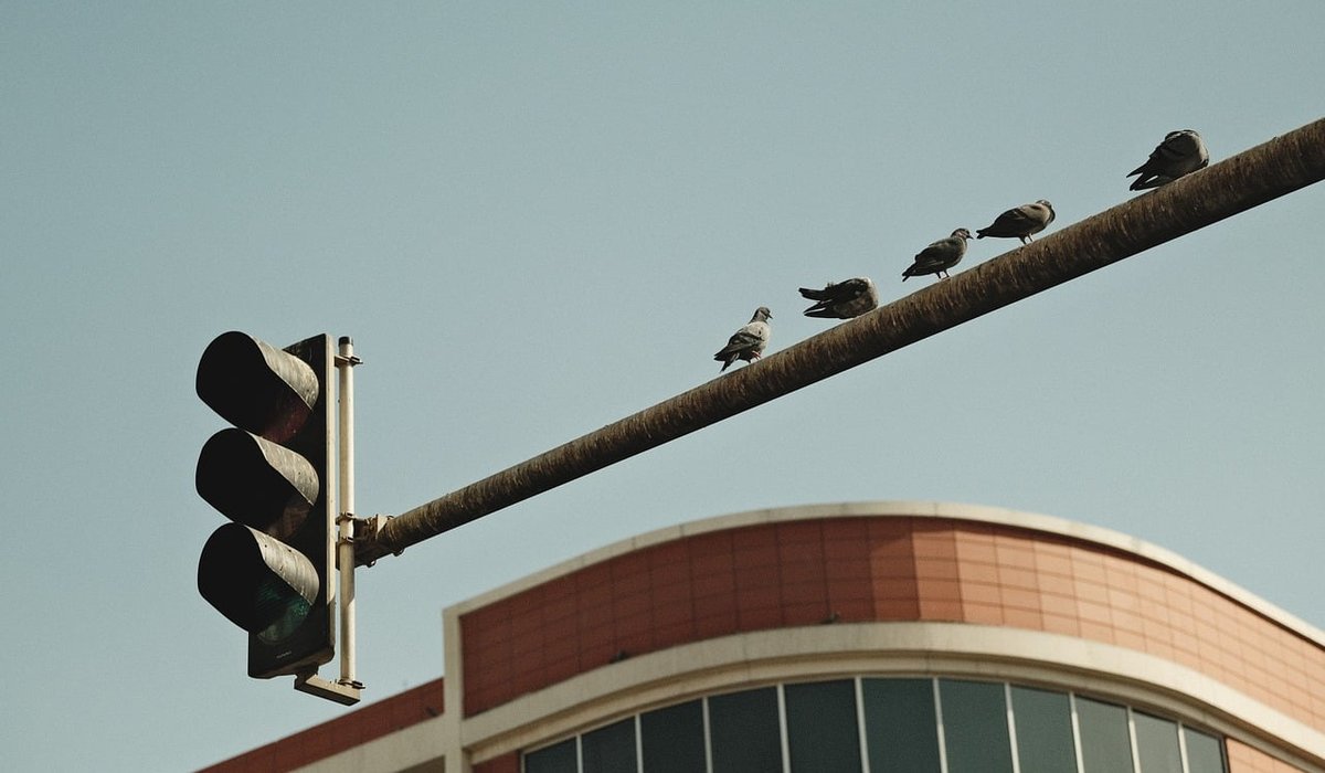Choosing the Right Aerial for Weak Mobile Reception